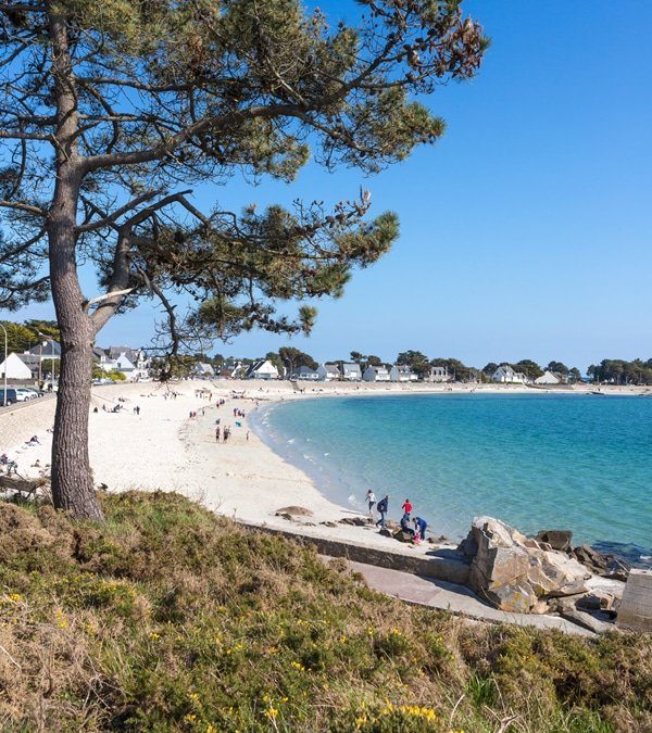 Sortie Séniors CCAS du mois de mai 2025🤩🌞