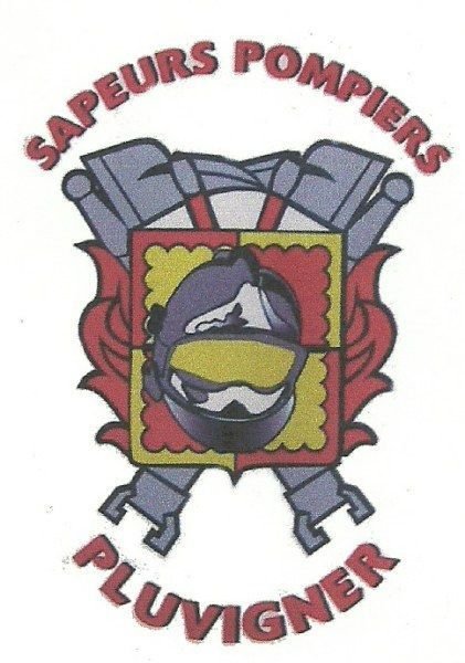 Distribution des calendriers des sapeurs-pompiers de Pluvigner🚒