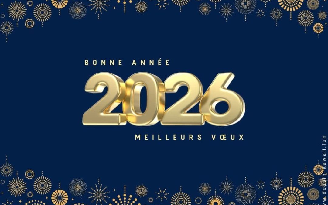 Bonne année 2026🎉🎉