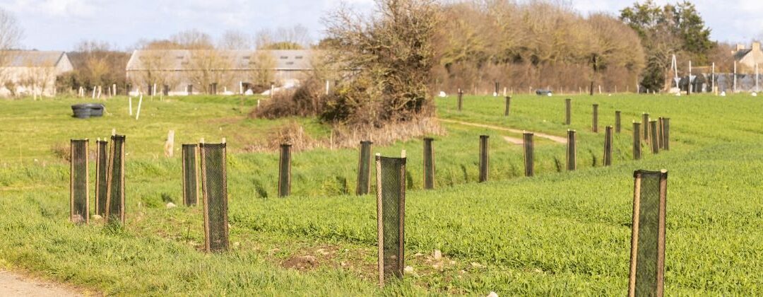 🌳🌳 Sortie entre rivière. Bocage